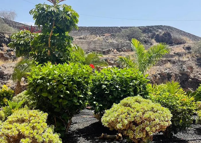 Govimar Terrace & Pool - Parking Puerto de Santiago (Tenerife)